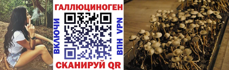 Галлюциногенные грибы MAGIC MUSHROOMS купить закладку Киреевск